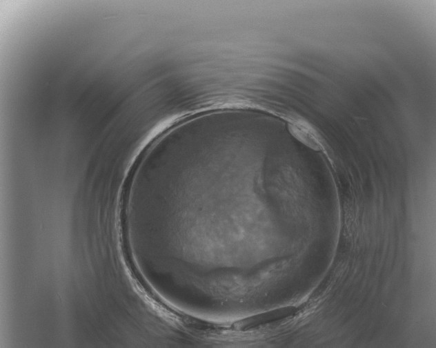 X0000060571142200511101623