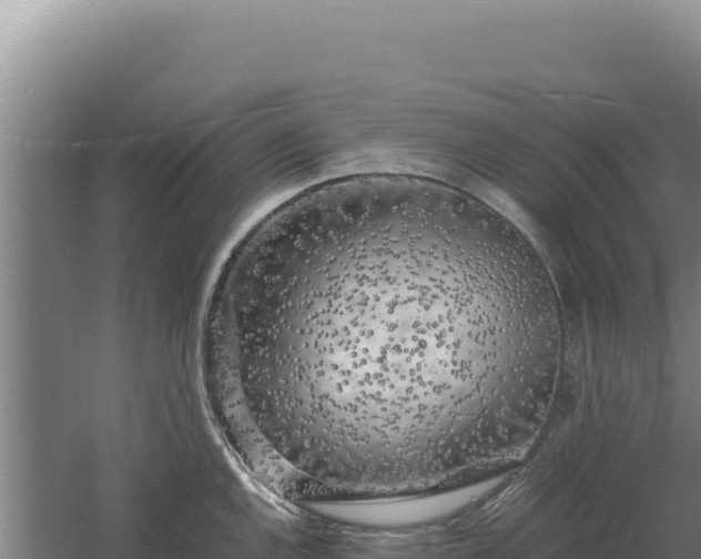 X0000060571144200511101623