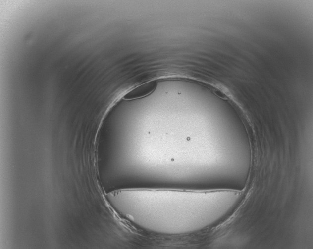 X0000060571145200511101623