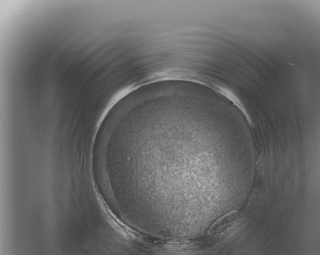 X0000060571146200511101623