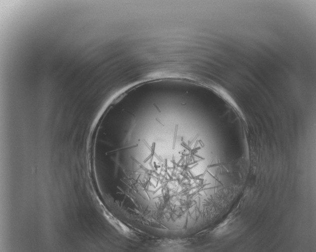 X0000060571148200511101623