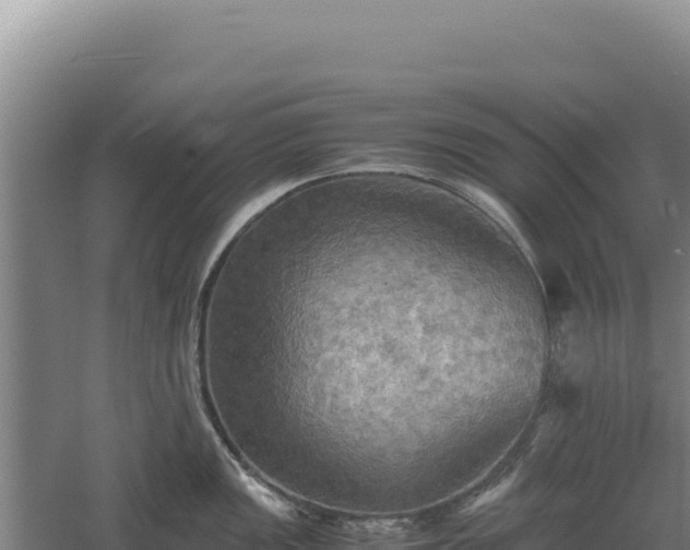 X0000060571149200511101623