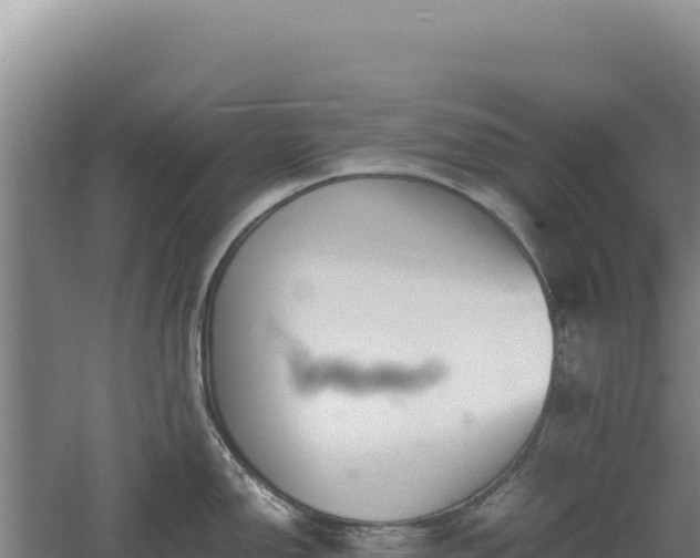 X0000060571150200511101623