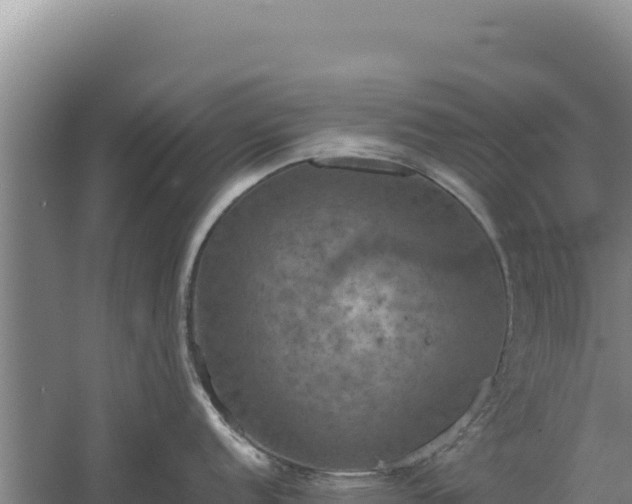 X0000060571152200511101623