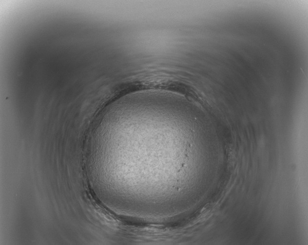 X0000060571153200511101622