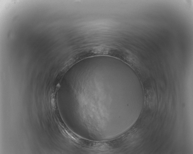 X0000060571154200511101622