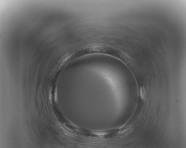 X0000060571155200511101622