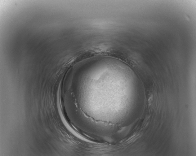 X0000060571156200511101622