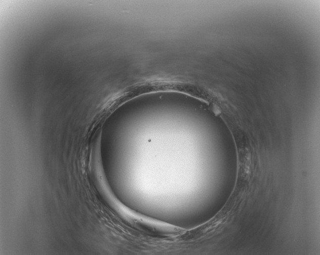 X0000060571157200511101622