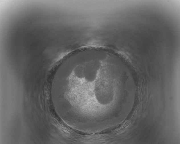 X0000060571159200511101622