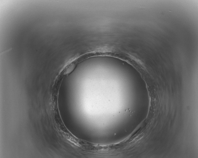 X0000060571160200511101622