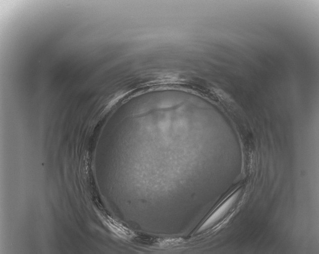 X0000060571161200511101622