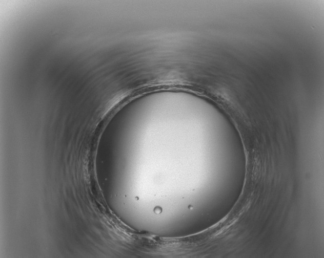 X0000060571162200511101622