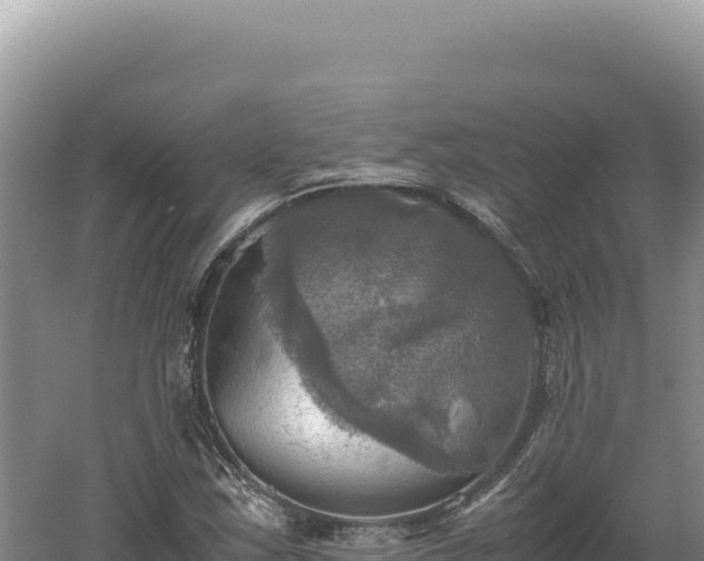 X0000060571163200511101622