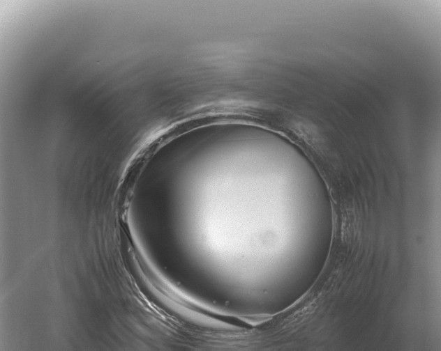 X0000060571164200511101622