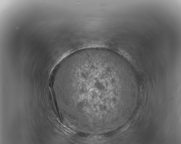 X0000060571165200511101622