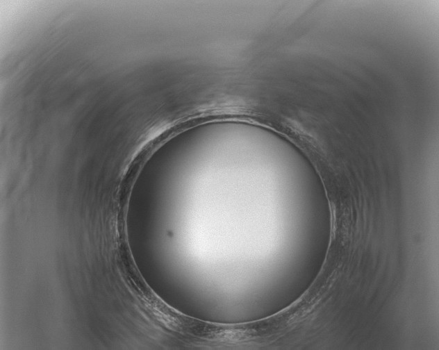 X0000060571166200511101622