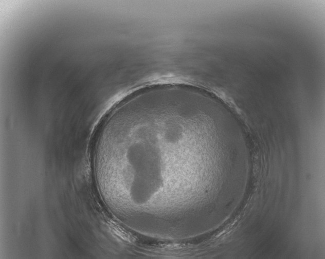 X0000060571167200511101622