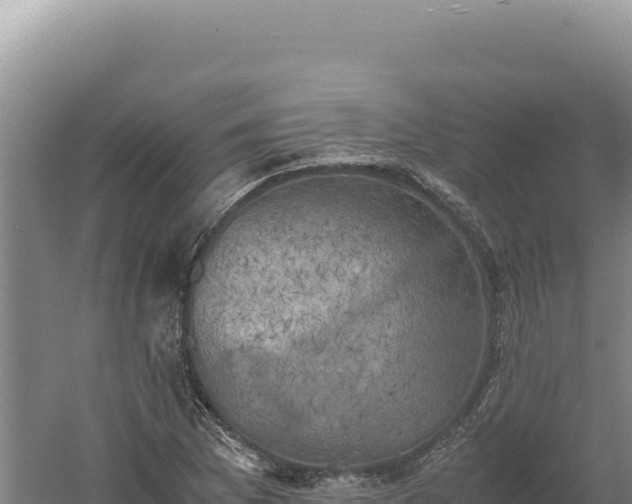 X0000060571169200511101622