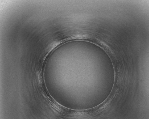 X0000060571170200511101622