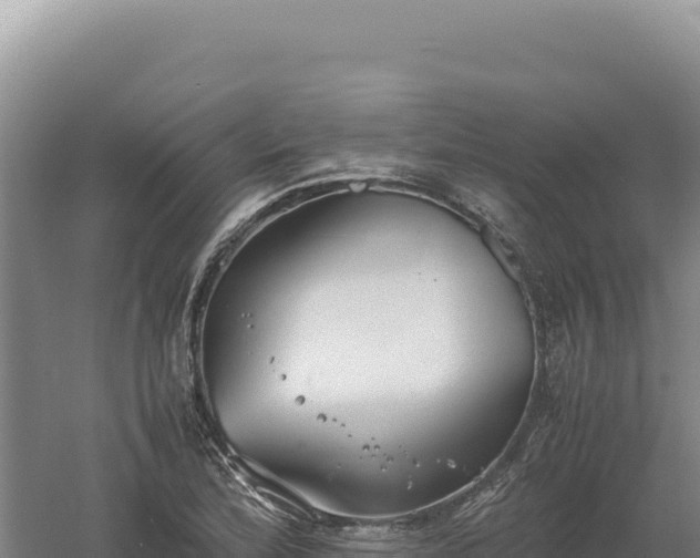 X0000060571172200511101622