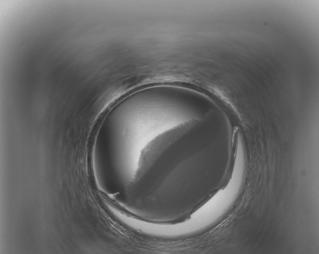 X0000060571173200511101622