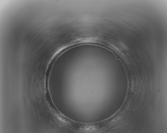 X0000060571174200511101622