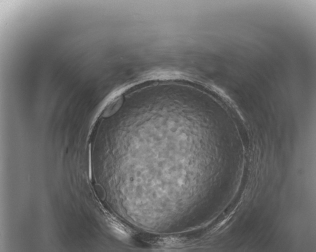 X0000060571175200511101622