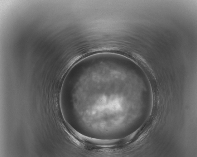 X0000060571177200511101622