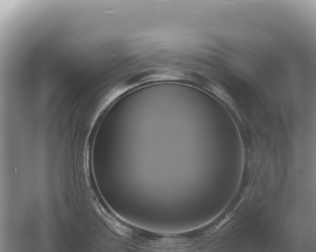 X0000060571179200511101622