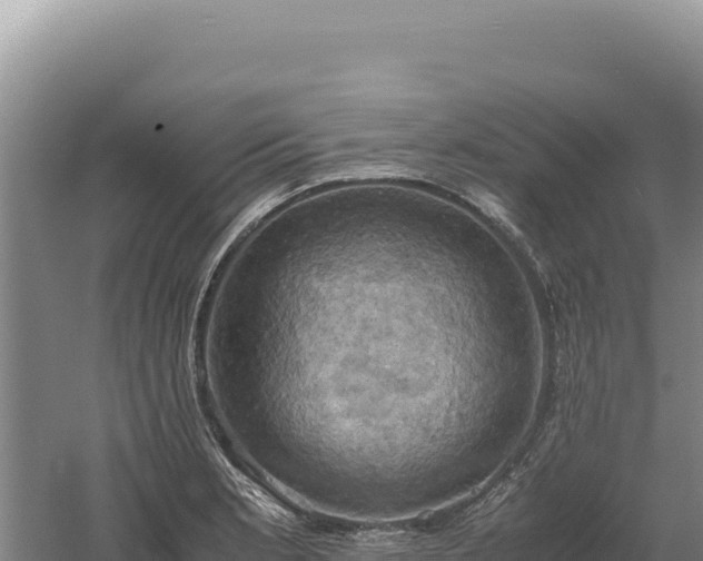 X0000060571181200511101622