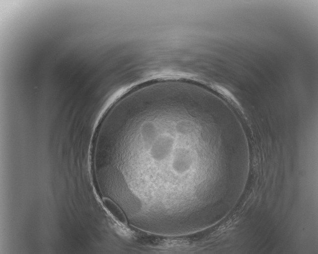 X0000060571183200511101622