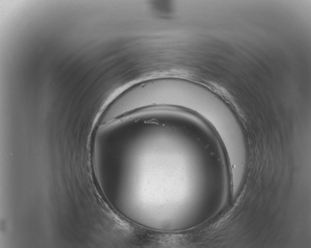 X0000060571184200511101622