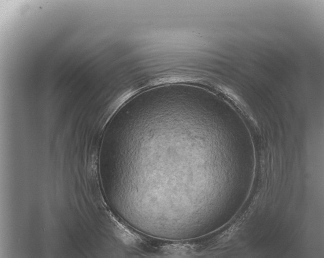 X0000060571185200511101621