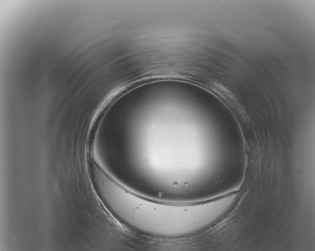 X0000060571188200511101621