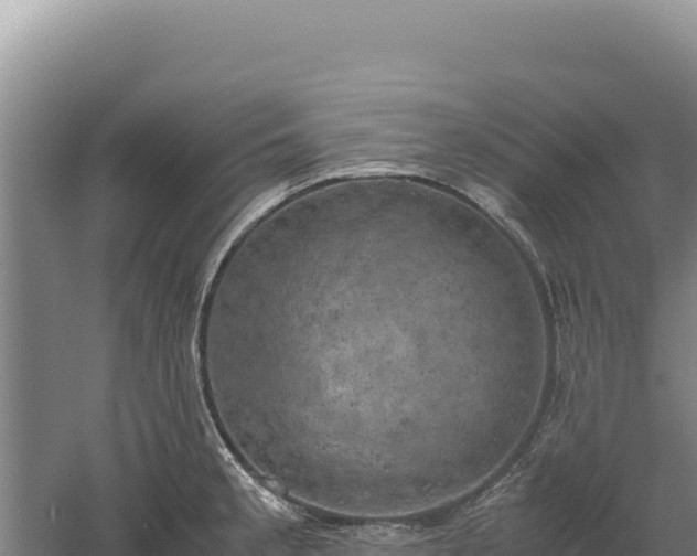 X0000060571189200511101621