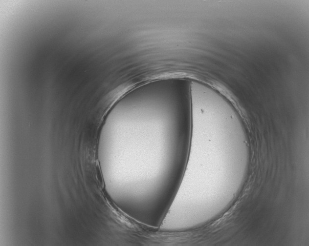 X0000060571193200511101621