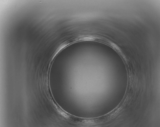 X0000060571194200511101621