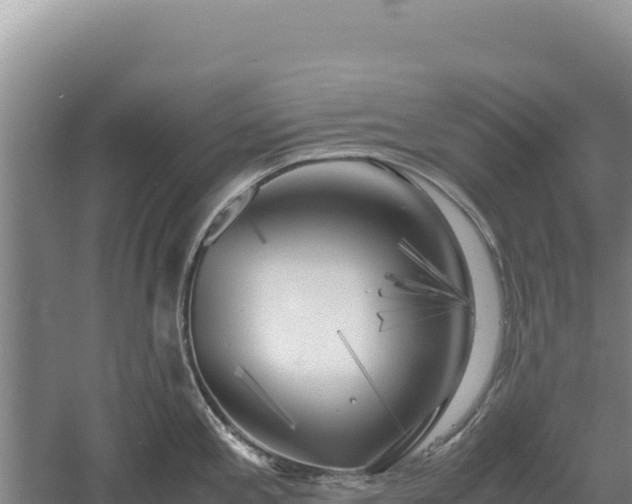 X0000060571197200511101621