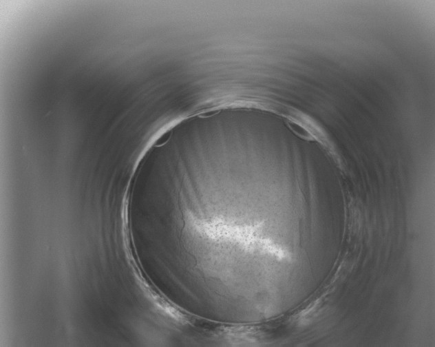 X0000060571198200511101621