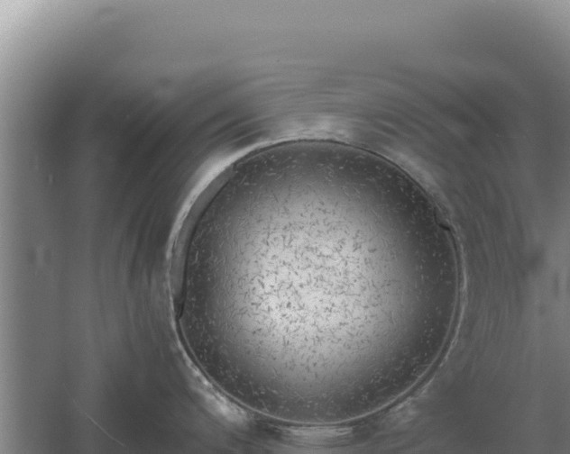 X0000060571200200511101621