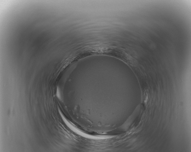 X0000060571202200511101620