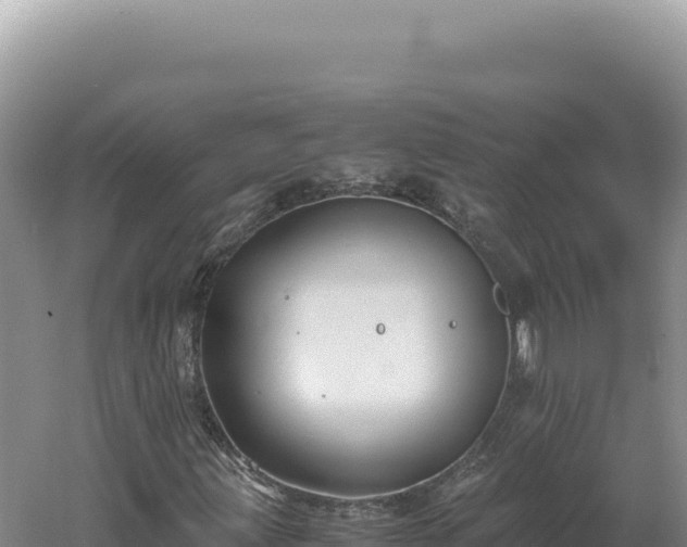 X0000060571203200511101620