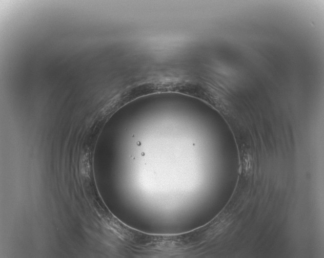 X0000060571204200511101620