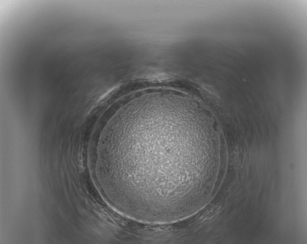 X0000060571205200511101620