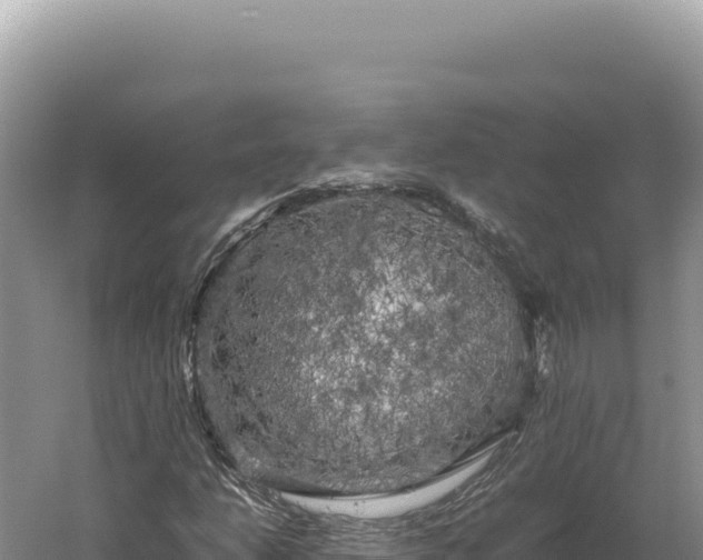 X0000060571206200511101620