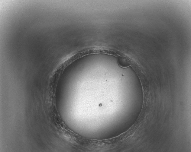 X0000060571207200511101621