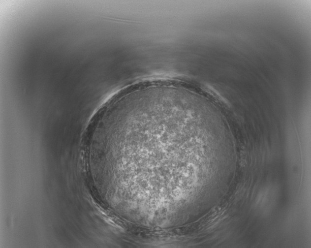 X0000060571208200511101621