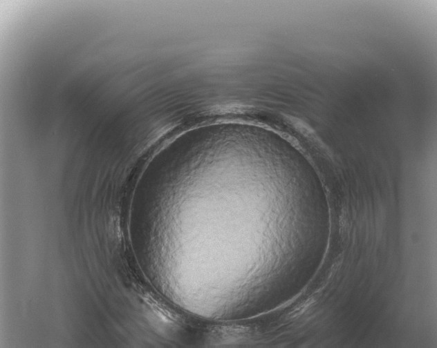 X0000060571209200511101621