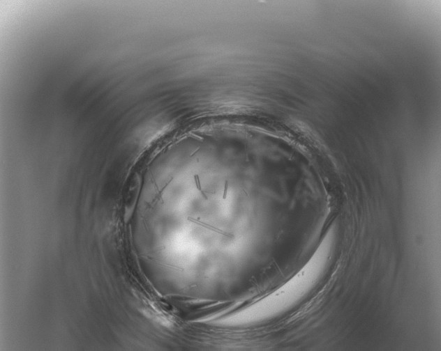 X0000060571210200511101621